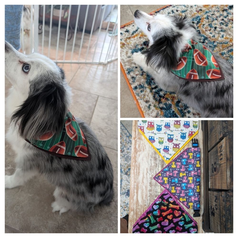 Hand Crafted Over the Collar Pet/Dog Bandanas Set of 3, Size Medium